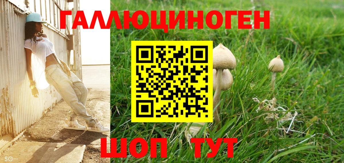 Галлюциногенные грибы MAGIC MUSHROOMS  Псилоцибиновые грибы Magic Shrooms  Вход с VPN  Норильск 