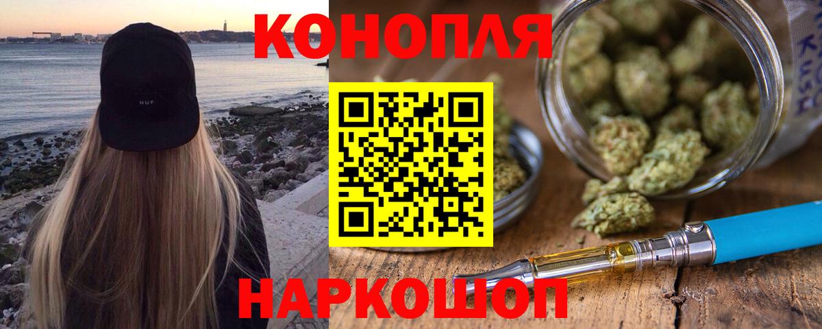Конопля гибрид Норильск
